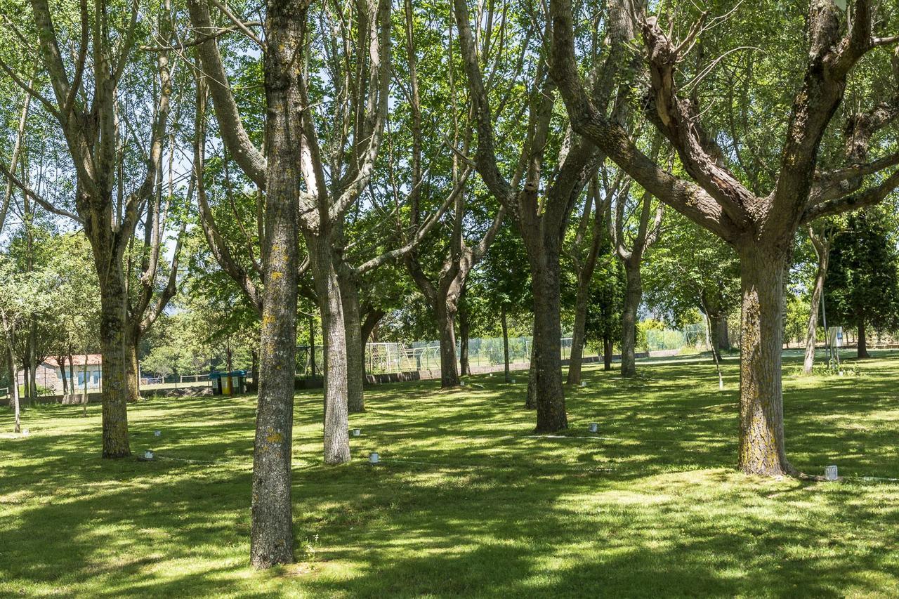 Camping Santa Tecla A Guarda Eksteriør billede